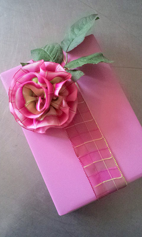 21 verpackung rosa 13.03.14 021