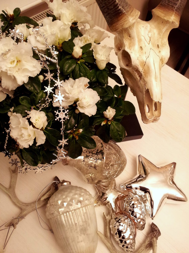04.12.16 poet.Adventsdinner A 7 BLOG