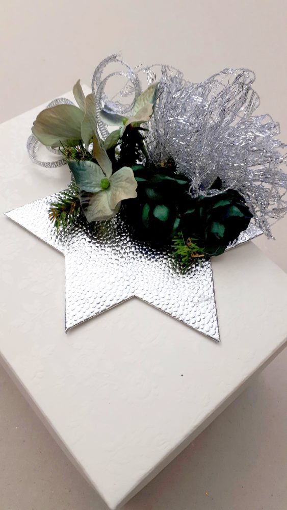 09.11.17 Sterndesign silbgrün 1 BLOG