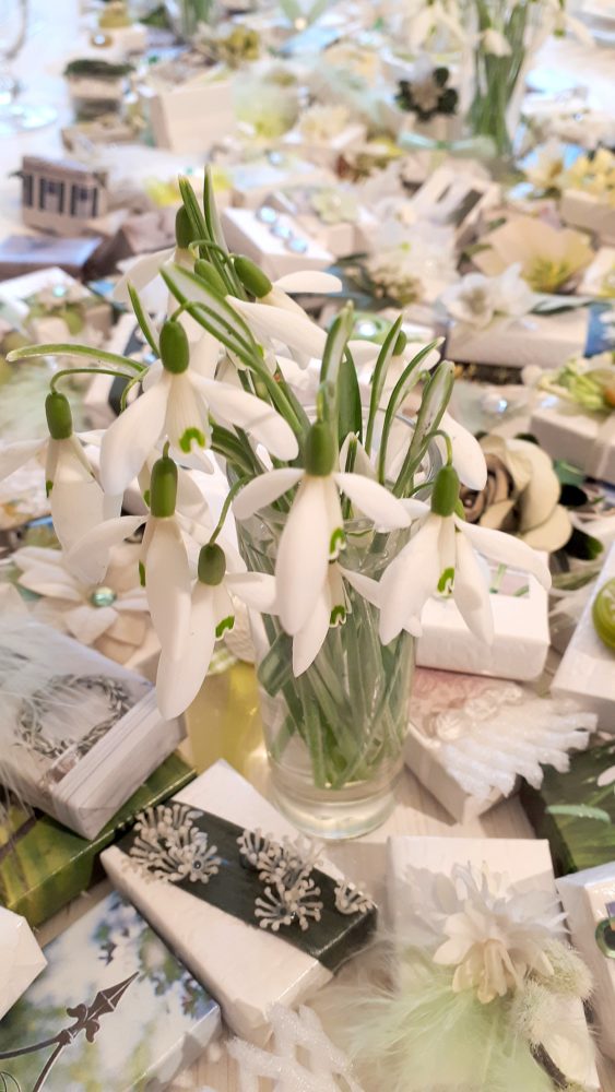 13.03.18 `Snowdrops´ C24 BLOG
