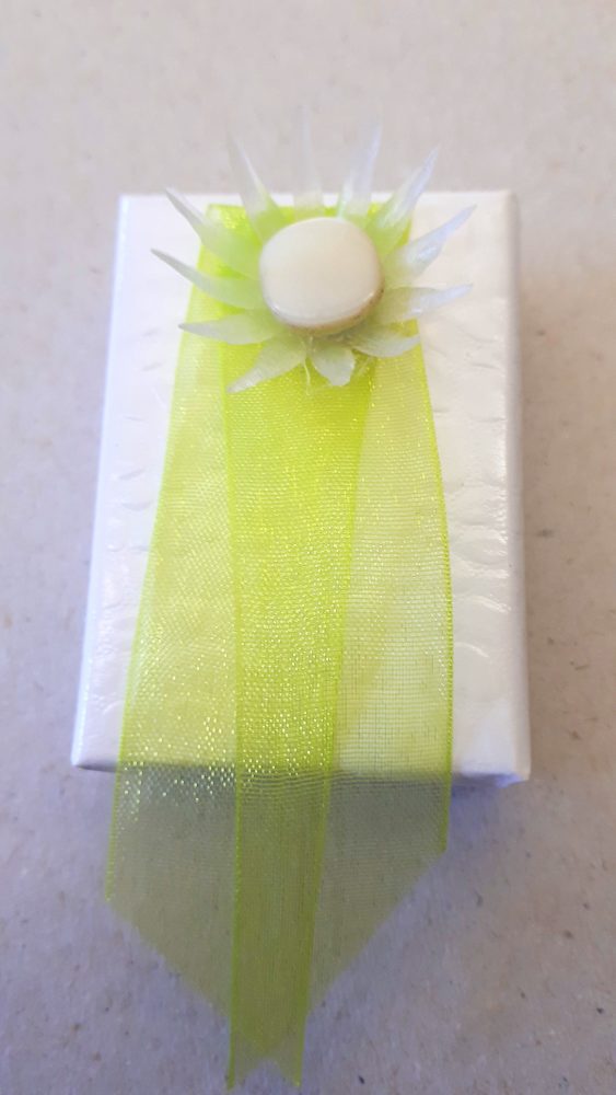 26.02.18 Proj.Snowdrops A-C 16 BLOG