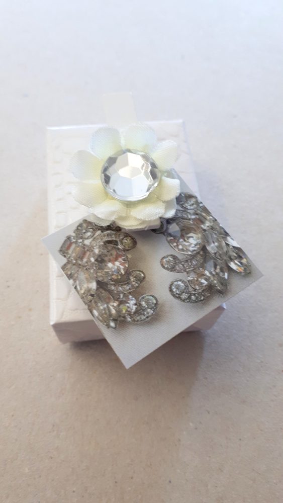 26.02.18 Proj.Snowdrops A-C 327 BLOG