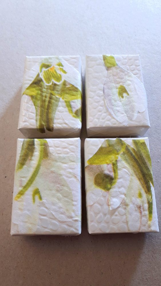26.02.18 Proj.Snowdrops A-C 333 BLOG