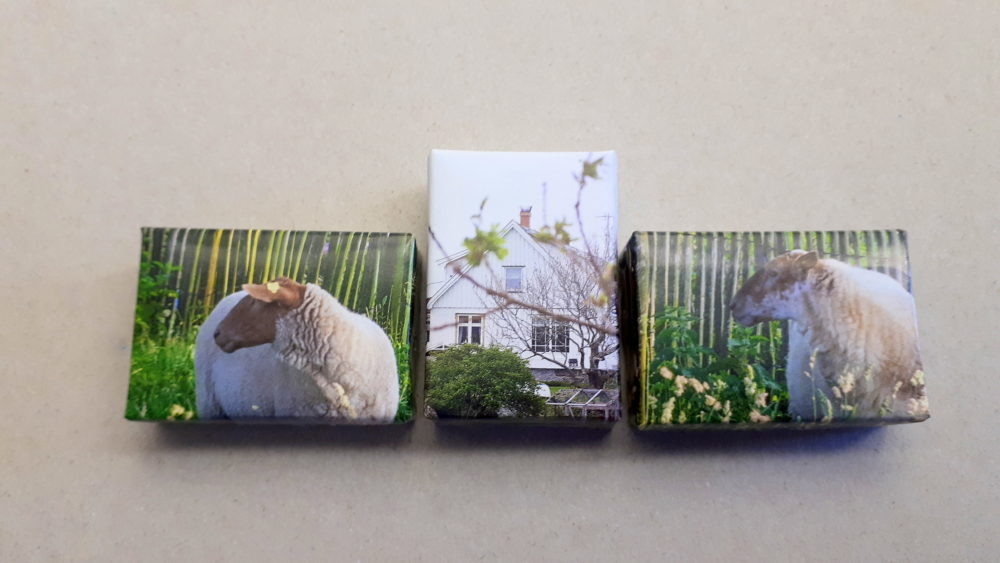 26.02.18 Proj.Snowdrops A-C 338 BLOG
