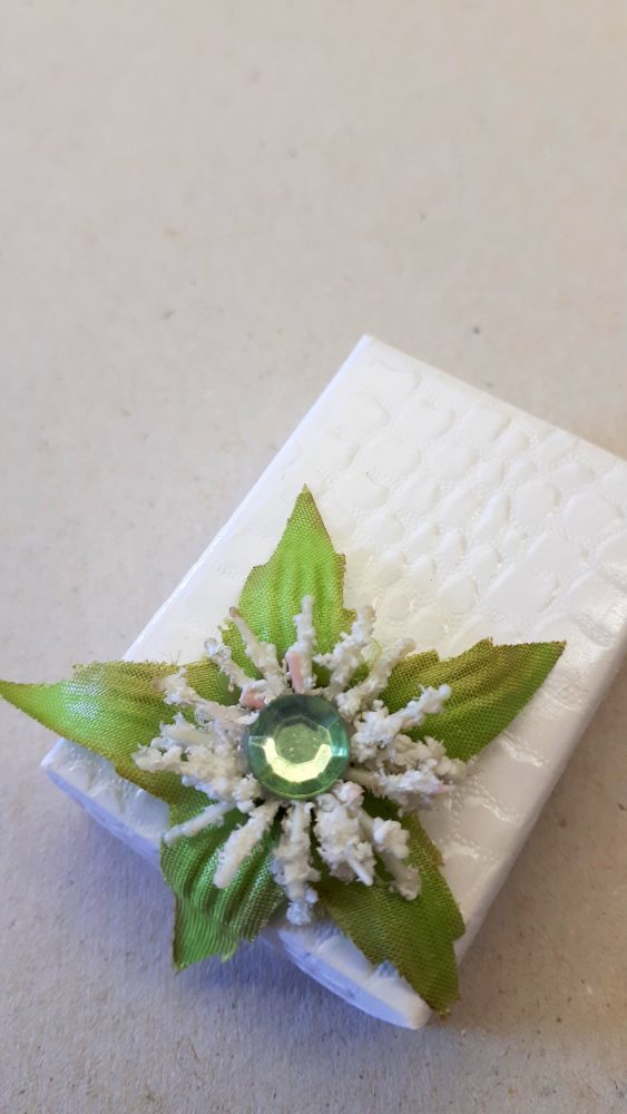 26.02.18 Proj.Snowdrops A-C 73 BLOG
