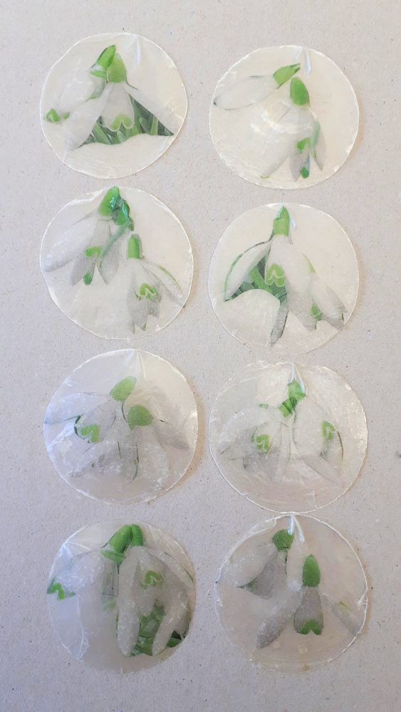 26.02.18 Proj.Snowdrops A-C Torte 3 BLOG