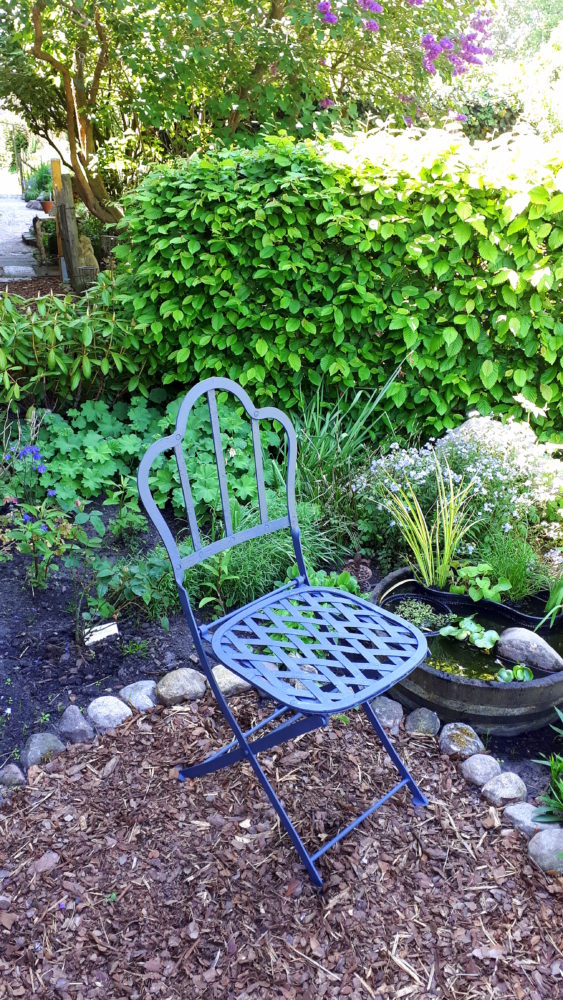 27.05.17 vor Off.Garten 19 BLOG IN