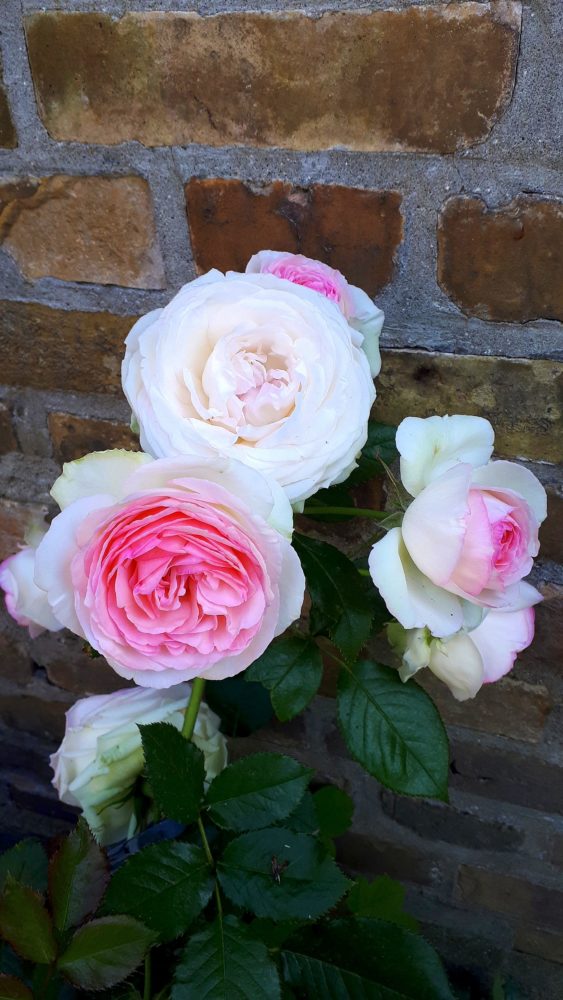 08.06.18 neben Kran BLOG
