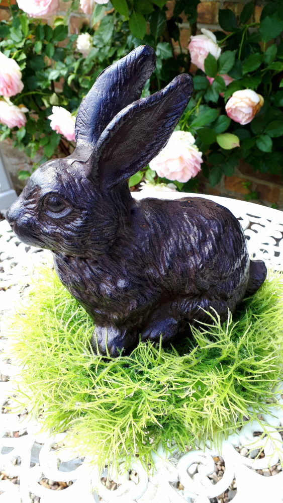 11.07.18 Hase BLOG IN