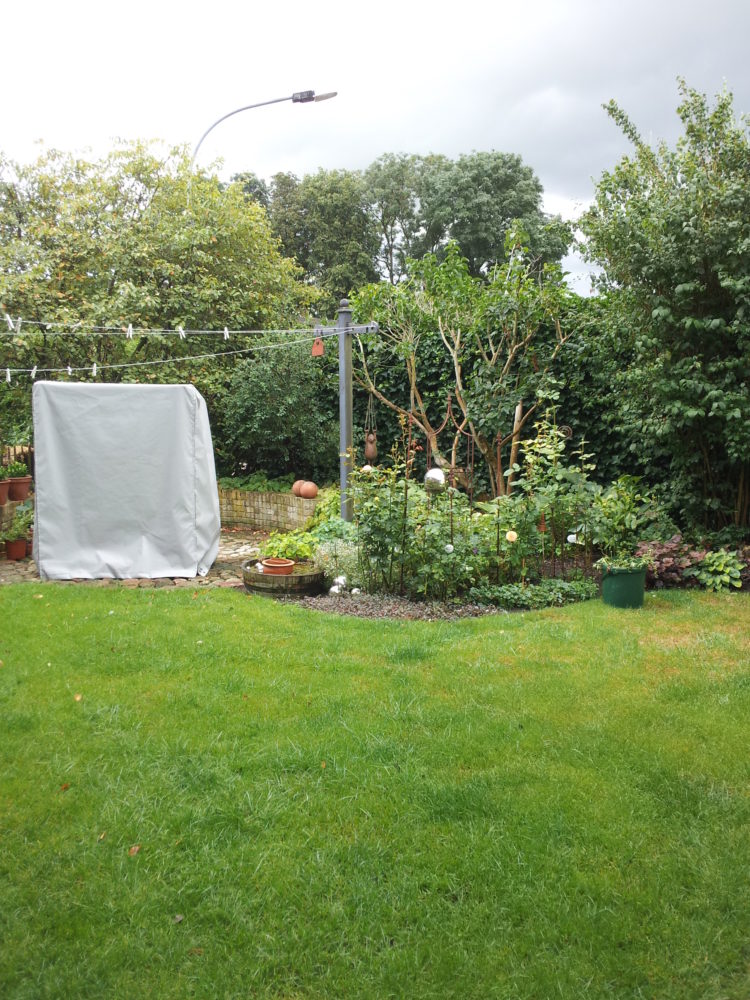 12.08.14 Garten BLOG