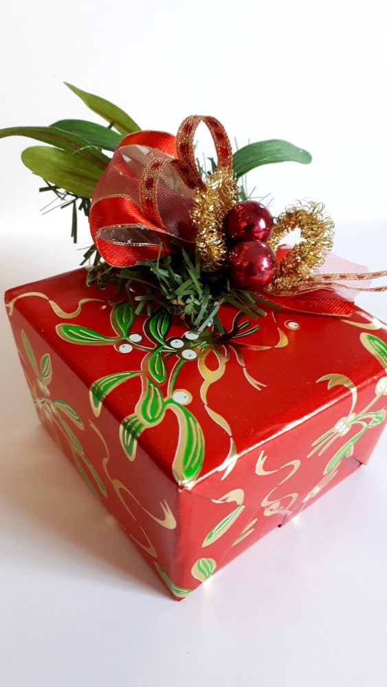 15.12.18 Misteln 3 BLOG